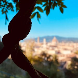 Progetto senza titolo (1)